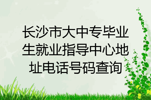 长沙市大中专毕业生就业指导中心地址电话号码查询