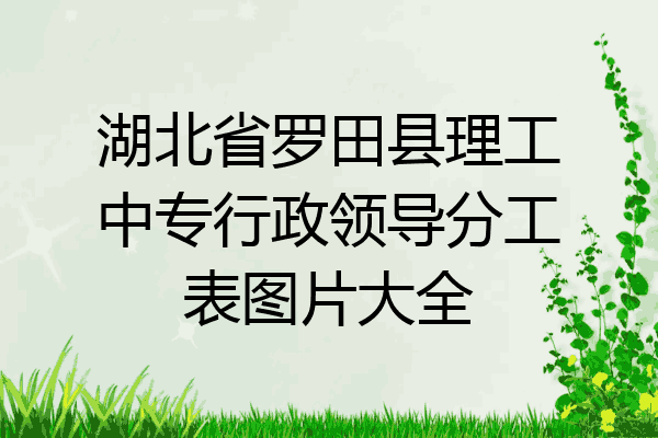湖北省罗田县理工中专行政领导分工表图片大全