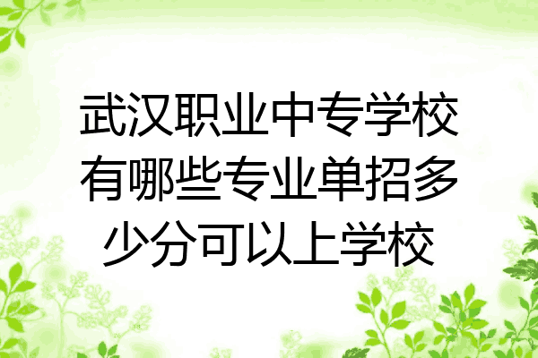 武汉职业中专学校有哪些专业单招多少分可以上学校