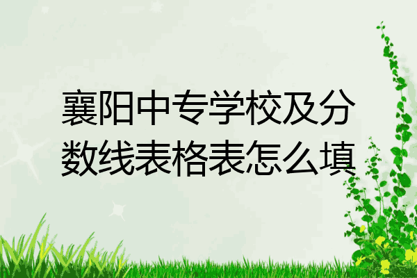 襄阳中专学校及分数线表格表怎么填