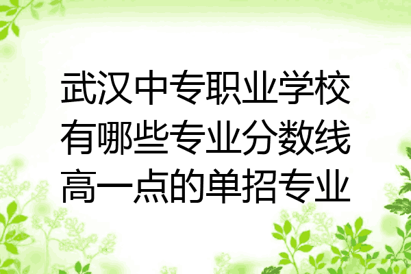 武汉中专职业学校有哪些专业分数线高一点的单招专业