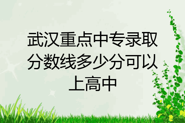 武汉重点中专录取分数线多少分可以上高中