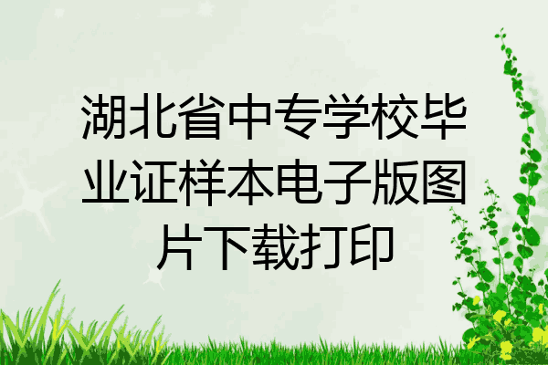 湖北省中专学校毕业证样本电子版图片下载打印