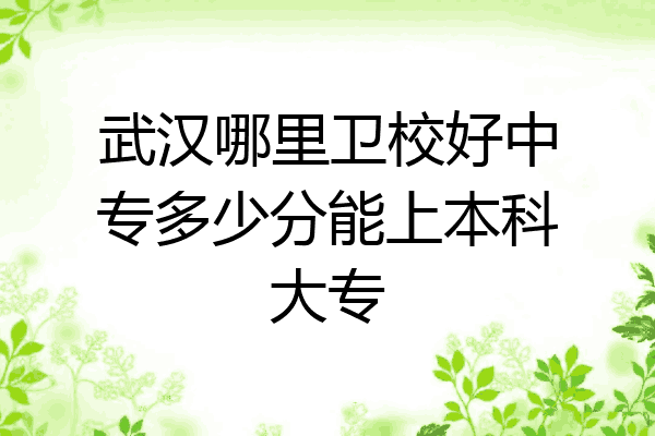 武汉哪里卫校好中专多少分能上本科大专