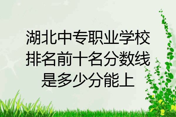 湖北中专职业学校排名前十名分数线是多少分能上