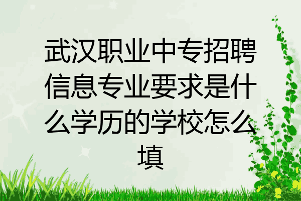 武汉职业中专招聘信息专业要求是什么学历的学校怎么填