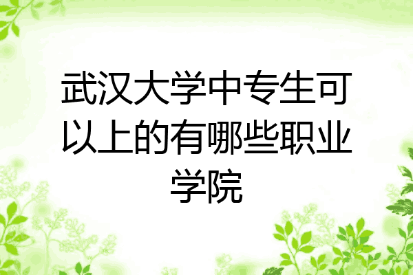 武汉大学中专生可以上的有哪些职业学院