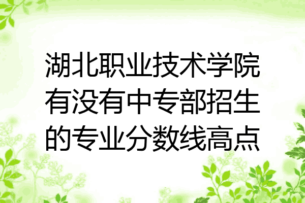 湖北职业技术学院有没有中专部招生的专业分数线高点
