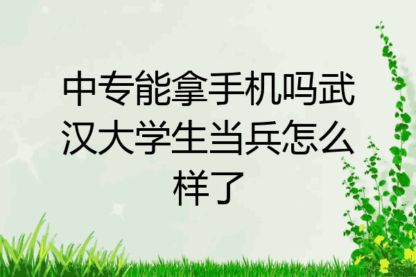 中专能拿手机吗武汉大学生当兵怎么样了