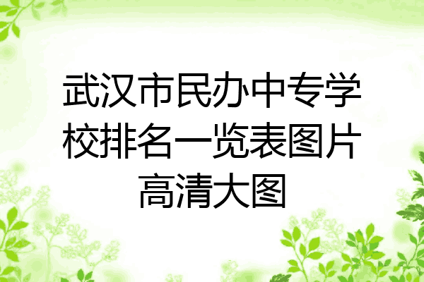 武汉市民办中专学校排名一览表图片高清大图