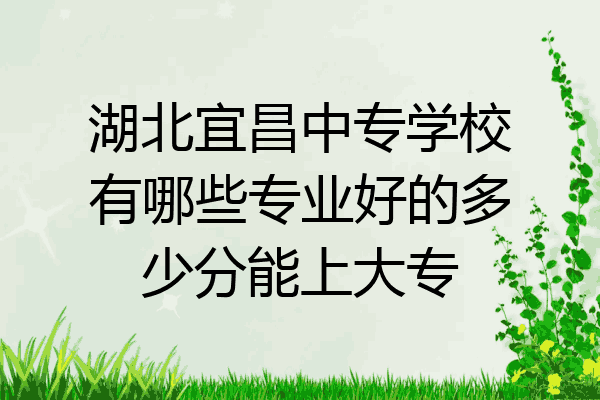 湖北宜昌中专学校有哪些专业好的多少分能上大专