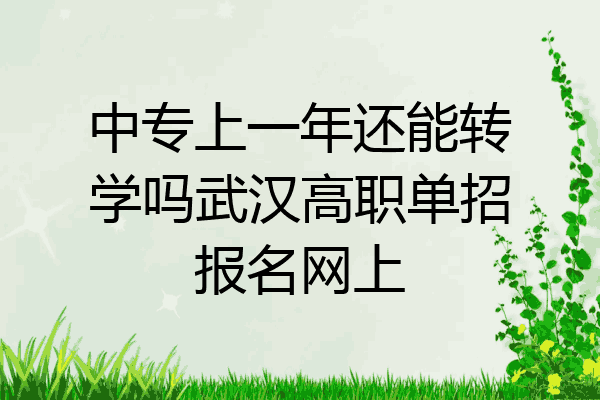 中专上一年还能转学吗武汉高职单招报名网上