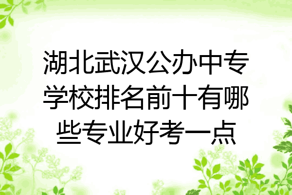 湖北武汉公办中专学校排名前十有哪些专业好考一点