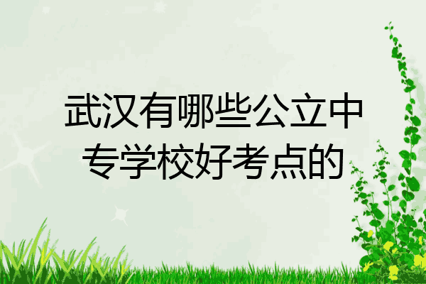武汉有哪些公立中专学校好考点的