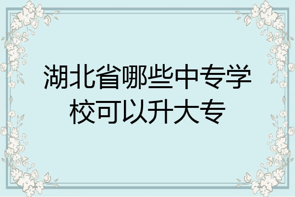 湖北省哪些中专学校可以升大专
