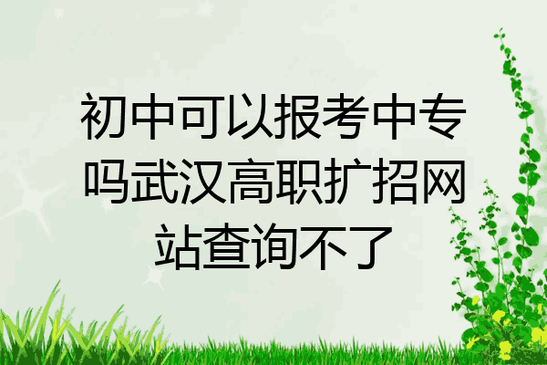 初中可以报考中专吗武汉高职扩招网站查询不了