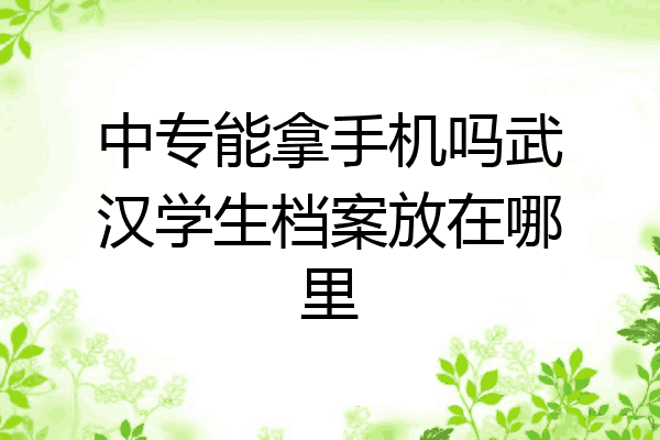 中专能拿手机吗武汉学生档案放在哪里