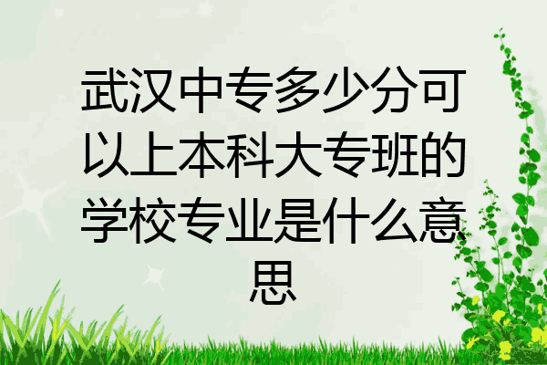 武汉中专多少分可以上本科大专班的学校专业是什么意思