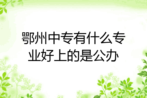 鄂州中专有什么专业好上的是公办