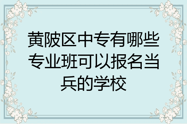 黄陂区中专有哪些专业班可以报名当兵的学校