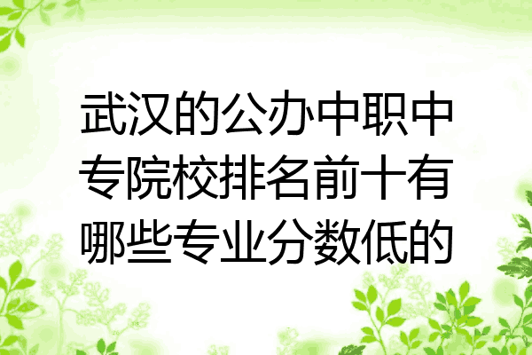 武汉的公办中职中专院校排名前十有哪些专业分数低的