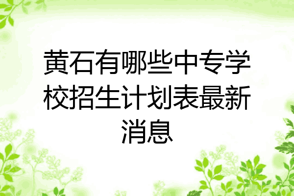 黄石有哪些中专学校招生计划表最新消息