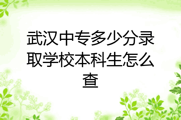 武汉中专多少分录取学校本科生怎么查