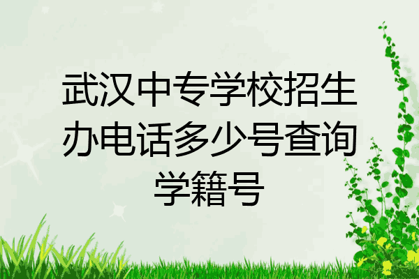 武汉中专学校招生办电话多少号查询学籍号