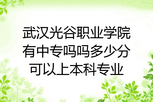 武汉光谷职业学院有中专吗吗多少分可以上本科专业
