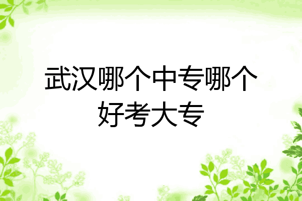 武汉哪个中专哪个好考大专