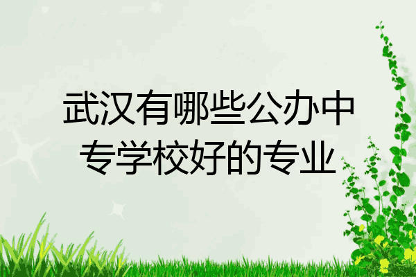 武汉有哪些公办中专学校好的专业