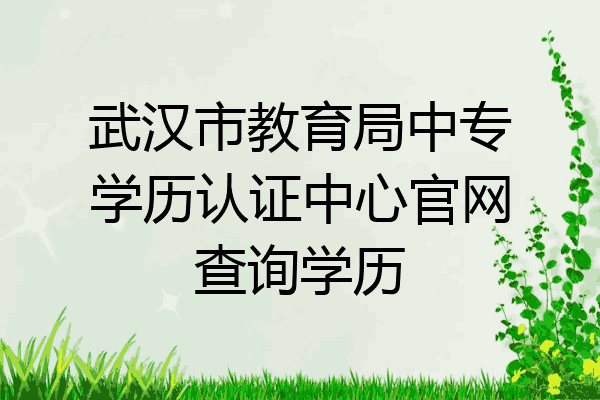 武汉市教育局中专学历认证中心官网查询学历