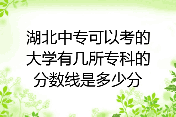 湖北中专可以考的大学有几所专科的分数线是多少分
