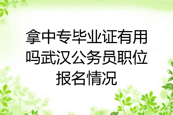 拿中专毕业证有用吗武汉公务员职位报名情况