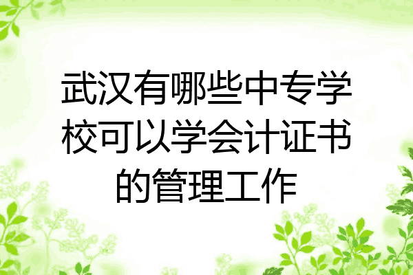 武汉有哪些中专学校可以学会计证书的管理工作