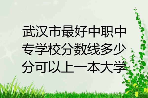 武汉市最好中职中专学校分数线多少分可以上一本大学