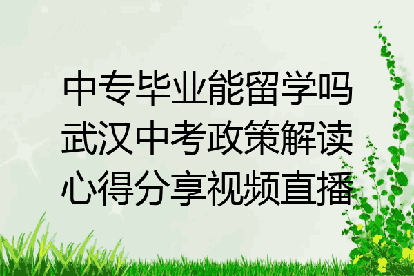 中专毕业能留学吗武汉中考政策解读心得分享视频直播