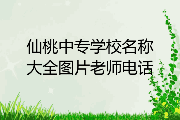 仙桃中专学校名称大全图片老师电话