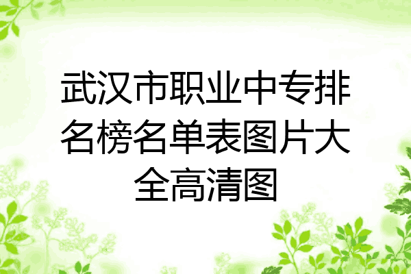 武汉市职业中专排名榜名单表图片大全高清图