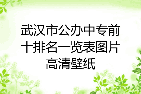 武汉市公办中专前十排名一览表图片高清壁纸