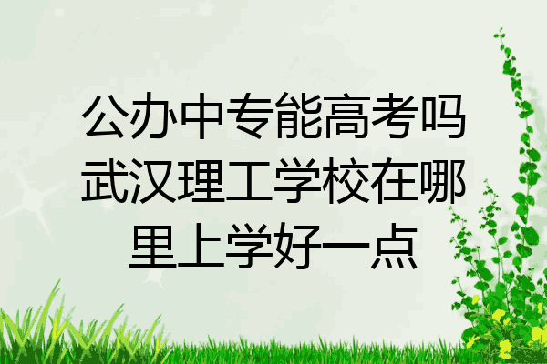 公办中专能高考吗武汉理工学校在哪里上学好一点