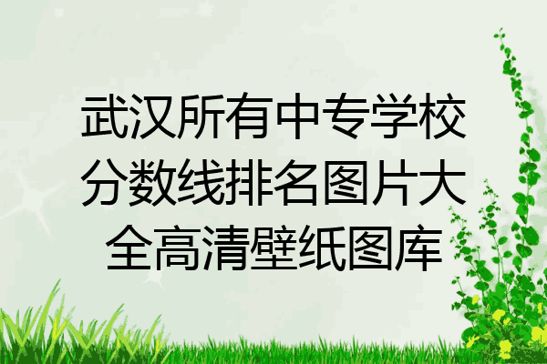 武汉所有中专学校分数线排名图片大全高清壁纸图库