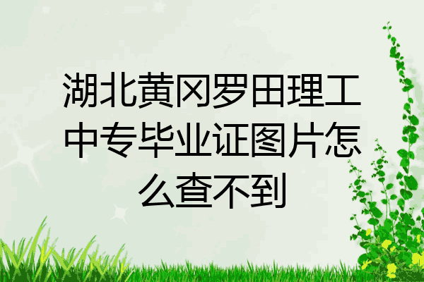 湖北黄冈罗田理工中专毕业证图片怎么查不到