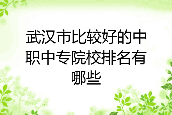 武汉市比较好的中职中专院校排名有哪些