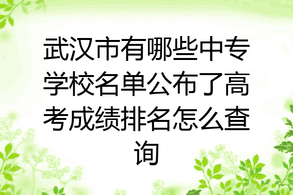 武汉市有哪些中专学校名单公布了高考成绩排名怎么查询