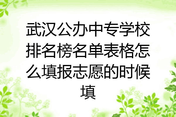 武汉公办中专学校排名榜名单表格怎么填报志愿的时候填