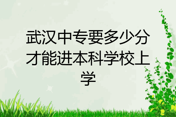 武汉中专要多少分才能进本科学校上学