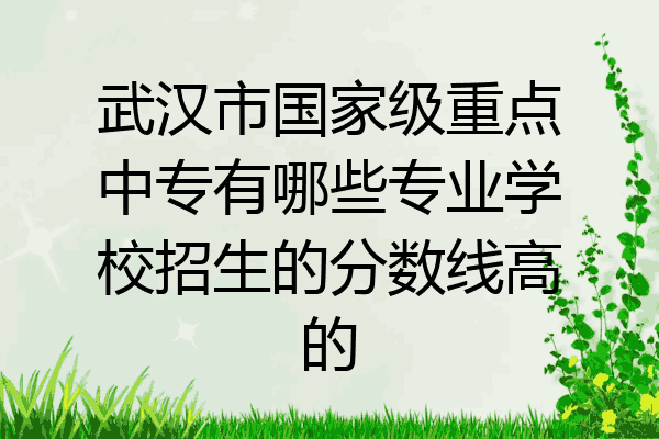 武汉市国家级重点中专有哪些专业学校招生的分数线高的