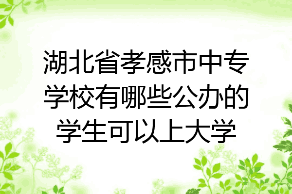 湖北省孝感市中专学校有哪些公办的学生可以上大学