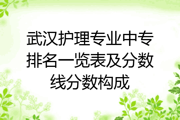 武汉护理专业中专排名一览表及分数线分数构成